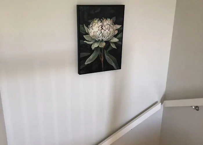 Breim-new In #57 Ballstad